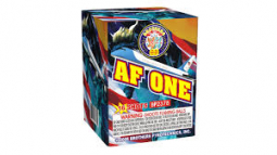 BROTHERS AF ONE - CASE 24/1